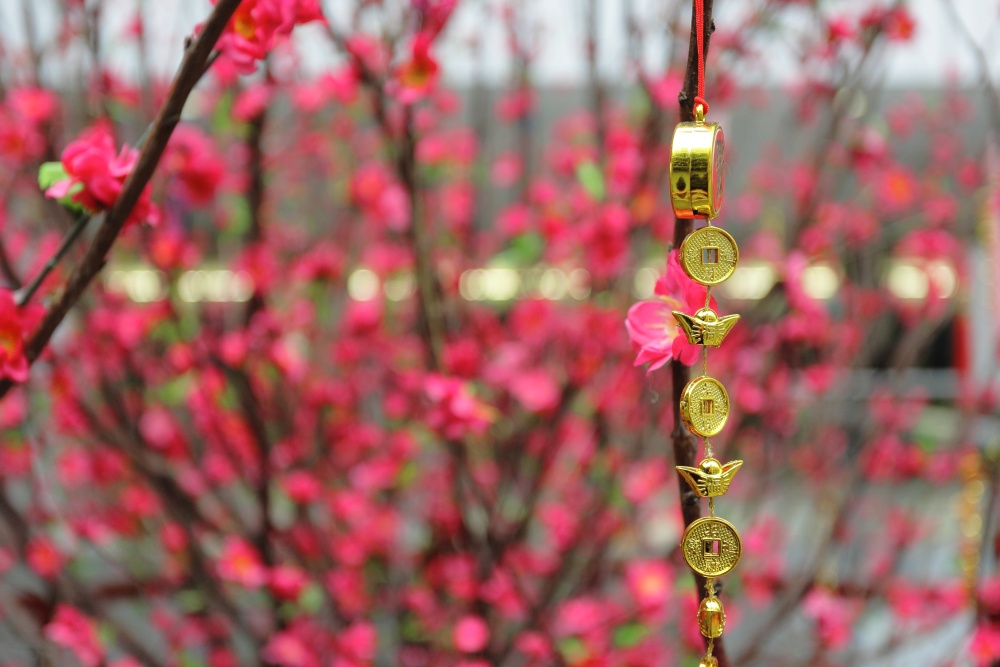 3-lucky-flowers-for-good-fortune-this-chinese-new-year